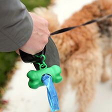 leash with poop bag holder attached